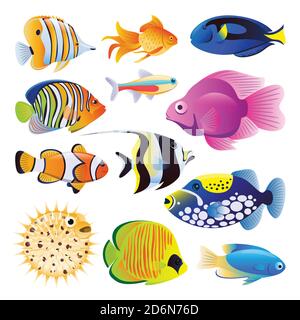 Meer Fische Vektor flach Cartoon Illustration. Tropisches Ozeanriff oder Hausaquarium exotische Fische gesetzt, isoliert auf weißem Hintergrund. Marine Life Design Stock Vektor