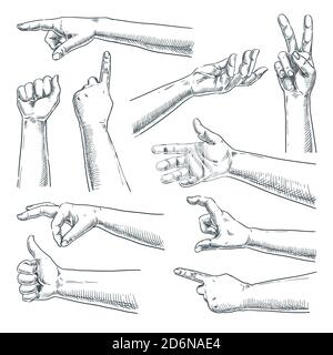 Menschliche Hand und Finger Geste. Vektorskizze handgezeichnete Illustration. Männliche oder weibliche Hände Sammlung, isoliert auf weißem Hintergrund Stock Vektor