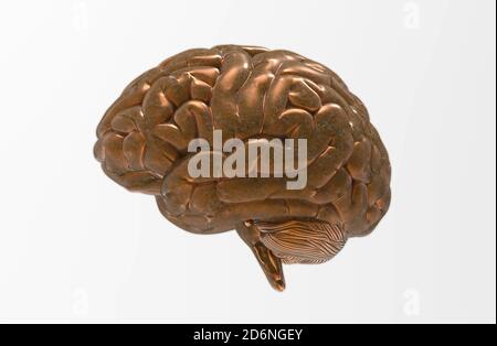 3D Rendering Kupfer menschlichen Gehirn isoliert auf weißem Hintergrund mit Beschneidungspfad zur Verwendung in jedem Hintergrund Stockfoto