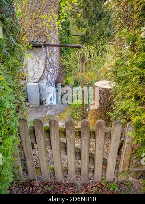 Blick über einen Holzfance in einen grünen, wilden kleinen Garten. Stockfoto