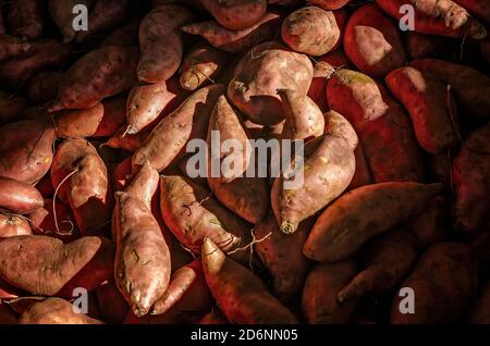 Süßkartoffeln werden auf dem McKenzie Farm Market am 17. Oktober 2020 in Fairhope, Alabama, ausgestellt. Stockfoto