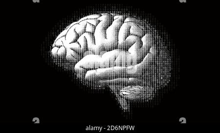 Brain Side View mit binärem digitalen Code AI konzeptionell in Monochrome Farbe isoliert auf dunklem Hintergrund Stockfoto