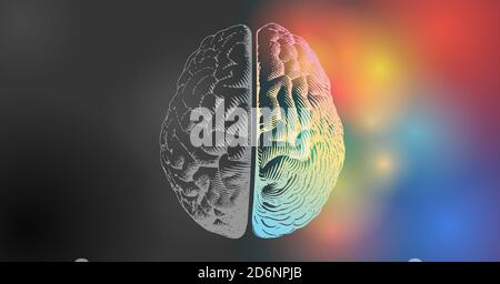 Gehirngravur Zeichnung Illustration in der Draufsicht mit links und Rechte Funktionen Konzept auf bunten und schwarzen Raum Hintergrund Stockfoto