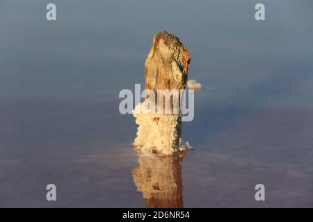 Alte hölzerne Säule im Salzseenwasser Stockfoto