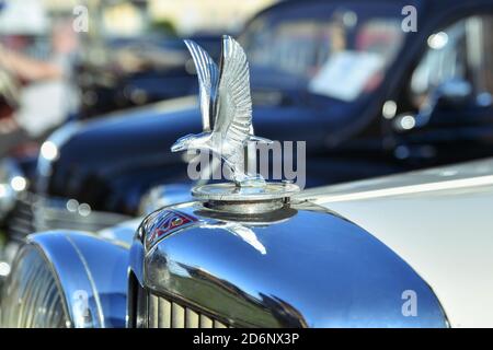 DIEPPE, FRANKREICH - 01. SEPTEMBER 2018: Adlerornament der Autofirma Alvis Stockfoto