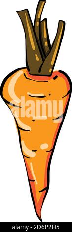 Kleine orange Karotte, Illustration, Vektor auf weißem Hintergrund Stock Vektor