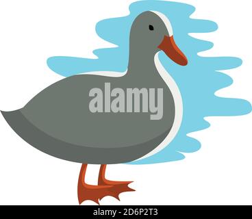 Weiße Ente, Illustration, Vektor auf weißem Hintergrund Stock Vektor