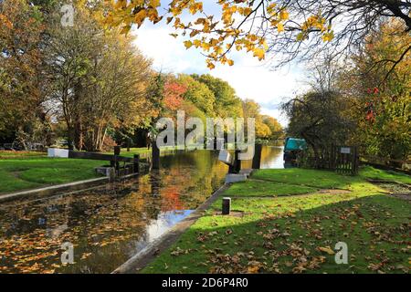 River Wey, Surrey Stockfoto