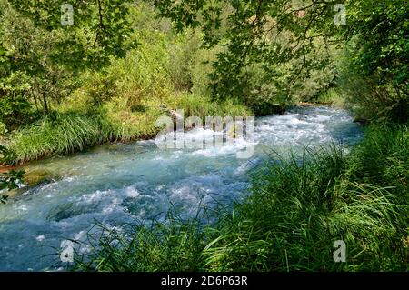 Turbulente Strömung und üppige Ufer des Flusses Lousios, Griechenland Stockfoto