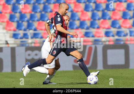 Rodrigo Palacio von ologna beim italienischen Fußballspiel Serie A Bologna FC gegen US Sassuolo im Renato Dall'Ara Stadion in Bologna, Italien, Octobe Stockfoto