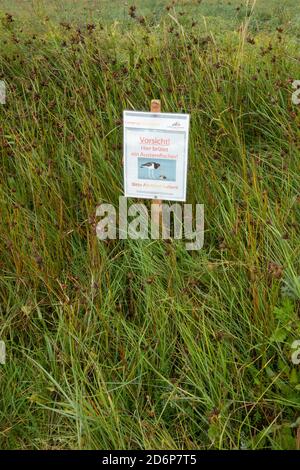 Schild Warnung, um vorsichtig zu sein, störende nistende Vögel, Wattenmeer Nationalpark. Niedersachsen. Deutschland. Stockfoto