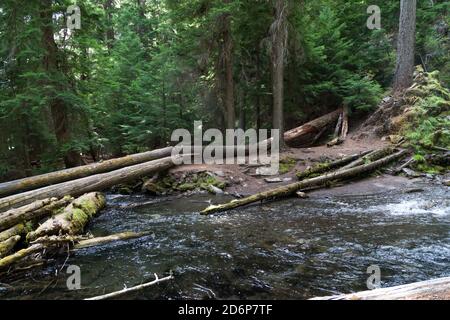 Klar, sauber und kalt National Creek rauscht durch den wilden und unberührten Rogue River - Siskiyou National Forest in den Southern Cascades von Oregon. Stockfoto