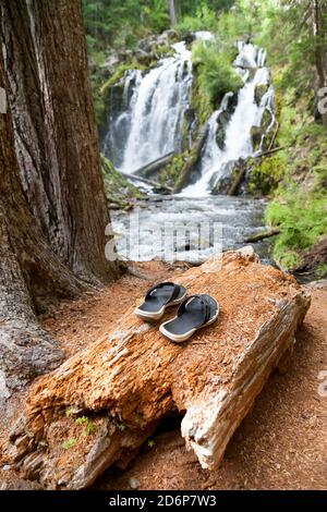 Schwarze und weiße Flip-Flops, die als nächstes auf einem zersetzenden Protokoll liegen Zu den National Creek Falls im Rogue River - Siskiyou National Forest im südlichen Org Stockfoto