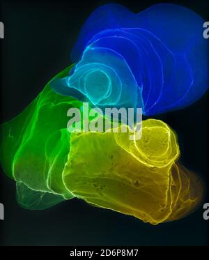 Alkohol Tinte Indigo nahtlose Hintergrund. Muster Stockfoto