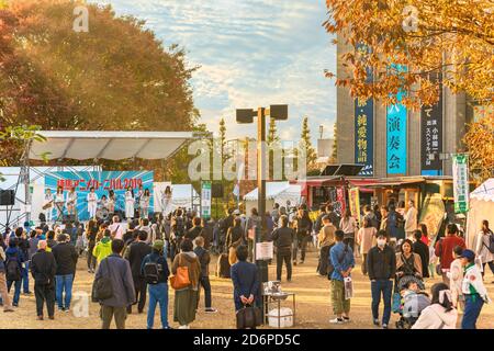 tokio, japan - november 16 2019: Jährliche Veranstaltung des Nerima Anime Carnival 2019 in nerima ward genannt der Geburtsort von Japan Animation mit dem Mädchen Verbot Stockfoto