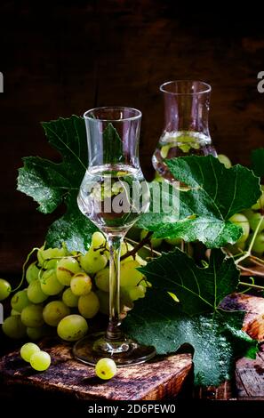 Traditioneller italienischer Wodka, Stillleben im rustikalen Stil, dunkler Holzhintergrund, selektiver Fokus Stockfoto