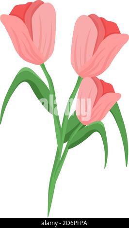 Rosa Tulpen, Illustration, Vektor auf weißem Hintergrund Stock Vektor