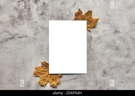 Herbstzusammensetzung aus gelb getrockneten Blättern und Eicheln auf Betongrund. Vorlage Mockup vertikales leeres Papier. Herbst, halloween. Flach liegend Stockfoto