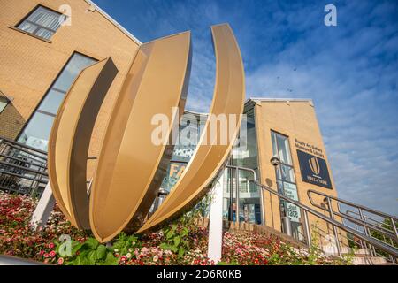 Die World Rugby Hall of Fame befindet sich in der Rugby Art Gallery and Museum Building, Rugby, Warwickshire, Großbritannien. Stockfoto