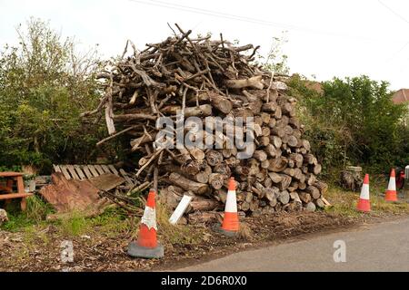 Oktober 20 - Holzstapel neben einer Landstraße in Mudgley Somerset, UK. Stockfoto