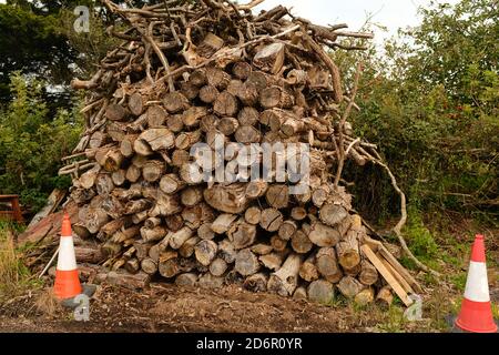 Oktober 20 - Holzstapel neben einer Landstraße in Mudgley Somerset, UK. Stockfoto