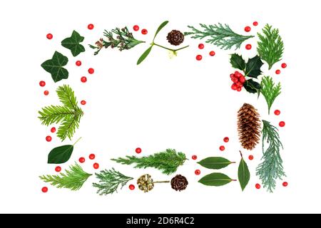 Traditionelle natürliche Winterflora Hintergrund Grenze für Weihnachten & Neujahr Flora mit Stechpalme, lockere Beeren, Efeu, Mistel, Tannen & Pinienzapfen. Stockfoto