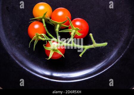 Stillleben von Kirschtomaten, Kirschtomaten, Solanum lycopersicum var. cerasiforme, homegrown, auf einem dunklen Teller in der Küche Stockfoto