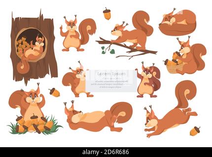 Cute Eichhörnchen Cartoon Charakter-Set, flache Vektor isoliert Illustration. Lustige Wald wilde Tiere. Emoji, Logo, Aufkleber. Stock Vektor