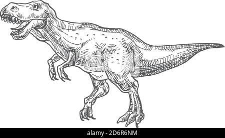 Prähistorische Dinosaurier Doodle Vektor Illustration. Handgezeichnete Tyrannosaurus Rex Reptil Gravur Stil Zeichnung. Stock Vektor