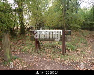 Verbranntes Holzschild Wald von Dean Stockfoto