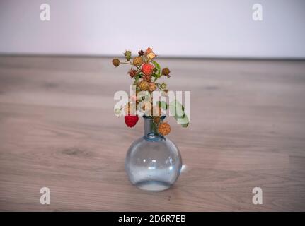 Zweig der Himbeeren in einer Glasvase. Zweig der Himbeeren in Mini-Vase Stockfoto