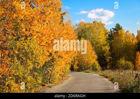 Indian Summer - ein Asphaltweg in einem Stadtpark zwischen Bäumen mit hellgelben und orangefarbenen Laub. Herbsthintergrund. Stockfoto