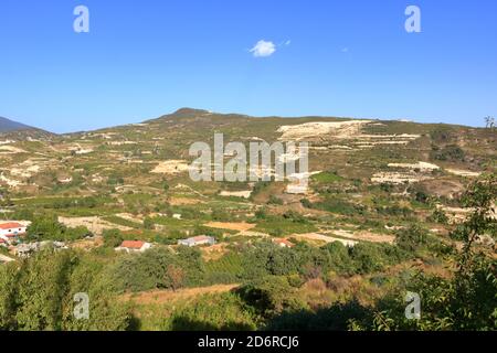 Weinberge an den Hängen des Troodos-Gebirges in der Nähe von Agios Amvrosios. Sonniger Sommertag in Zypern. Stockfoto