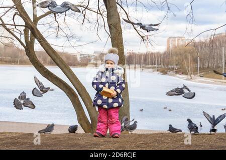 Baby Mädchen hält Brot in den Händen und füttert Tauben Und Enten am gefrorenen Teich Stockfoto