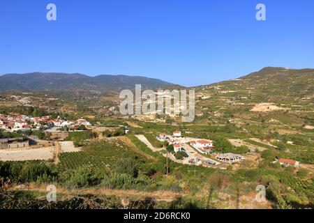 Weinberge an den Hängen des Troodos-Gebirges in der Nähe von Agios Amvrosios. Sonniger Sommertag in Zypern. Stockfoto