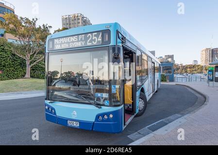 Der McMahons Point 254 Regierungs-Bus, hielt an McMahons Point Bushaltestelle am späten Nachmittag an einem sonnigen Frühlingstag in Sydney Stockfoto