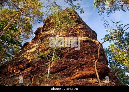 Roter Sandsteinfelsen Effles, Deutschland, Nordrhein-Westfalen, Eifel, Nideggen Stockfoto