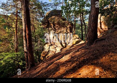 Roter Sandsteinfelsen Effles, Deutschland, Nordrhein-Westfalen, Eifel, Nideggen Stockfoto