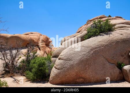 Joshua Tree Nationalpark, Kalifornien, USA Stockfoto