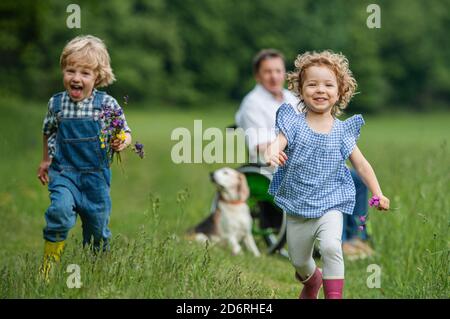Kleine Kinder mit älteren Großvater im Rollstuhl und Hund auf einem Spaziergang auf der Wiese in der Natur. Stockfoto