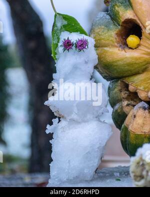 Erster Schnee, geschnitzte dekorative Kürbisse im Garten, ein kleiner Schneemann neben Kürbisdekoren, erster Schnee auf Kürbisdekoren, halloween, Herbstzeit Stockfoto