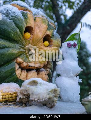 Erster Schnee, geschnitzte dekorative Kürbisse im Garten, ein kleiner Schneemann neben Kürbisdekoren, erster Schnee auf Kürbisdekoren, halloween, Herbstzeit Stockfoto