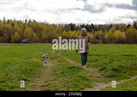 Mittlere Erwachsene Frau, die mit einem Beagle auf dem Feld läuft. Stockfoto