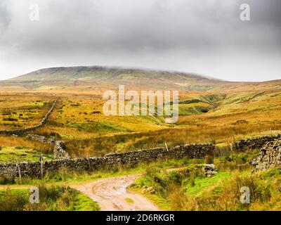 Trockene Steinmauern und offene Moorlandschaft mit Dead Mans Hill im Hintergrund. Scar House. Nidderdale. Yorkshire Dales Stockfoto