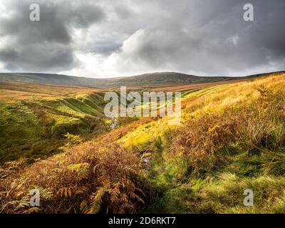 Offene Moorlandschaft mit Blick auf die kleine Whernside. Yorkshire Dales Stockfoto