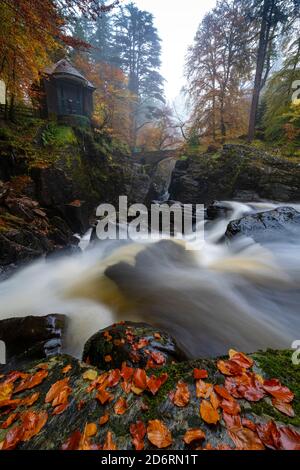 Herbstansicht der Ossian Hall mit Blick auf die Kaskade der Black Linn Falls am Fluss Braan in der Eremitage, Perthshire, Schottland, Großbritannien Stockfoto