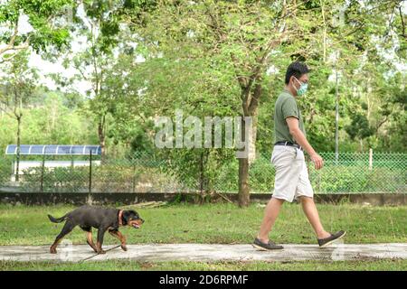 Hund folgen Mann trägt Maske, während Sie einen Spaziergang im Park. Outdoor-Aktivitäten mit Haustier Hund während Pandemie. Stockfoto