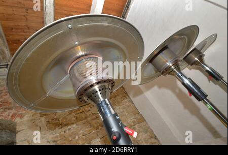 Leipzig, Deutschland. September 2020. Die Pilze befinden sich in einem Lagerhaus und warten darauf, außerhalb eines Restaurants verwendet zu werden. Quelle: Volkmar Heinz/dpa-Zentralbild/ZB/dpa/Alamy Live News Stockfoto