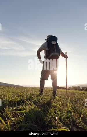 Stapel frischer knuspriger Makronen Stockfoto