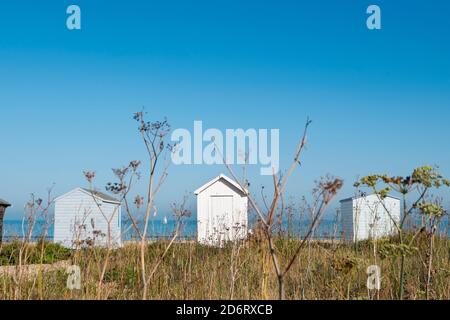 Eine Reihe von Strandhütten entlang der wilden Flora am Strand von Kingsdown, Deal, Kent, Großbritannien Stockfoto